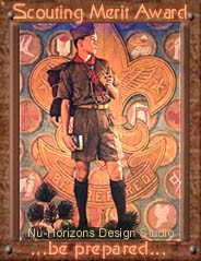 Scouting Merit Award for Scout Web Page Design
